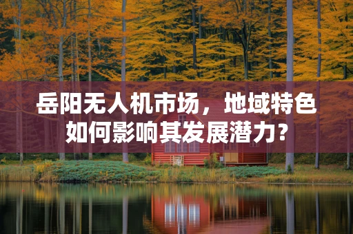 岳阳无人机市场，地域特色如何影响其发展潜力？