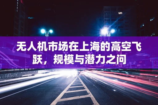 无人机市场在上海的高空飞跃，规模与潜力之问