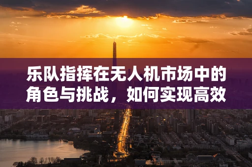 乐队指挥在无人机市场中的角色与挑战，如何实现高效协同？