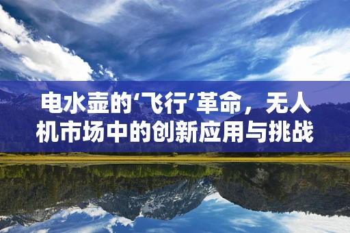 电水壶的‘飞行’革命，无人机市场中的创新应用与挑战