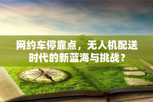 网约车停靠点，无人机配送时代的新蓝海与挑战？