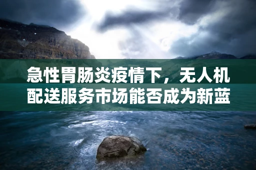 急性胃肠炎疫情下，无人机配送服务市场能否成为新蓝海？