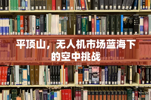 平顶山，无人机市场蓝海下的空中挑战