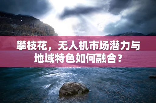 攀枝花，无人机市场潜力与地域特色如何融合？