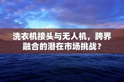 洗衣机接头与无人机，跨界融合的潜在市场挑战？