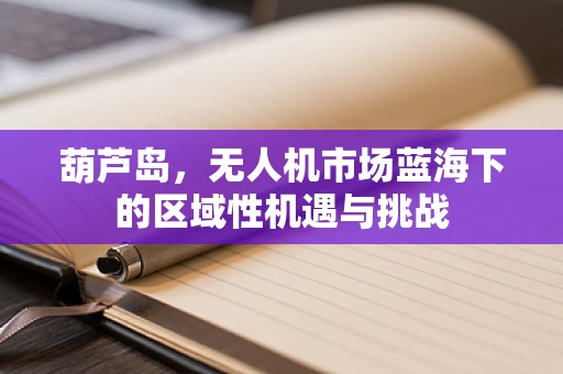 葫芦岛，无人机市场蓝海下的区域性机遇与挑战