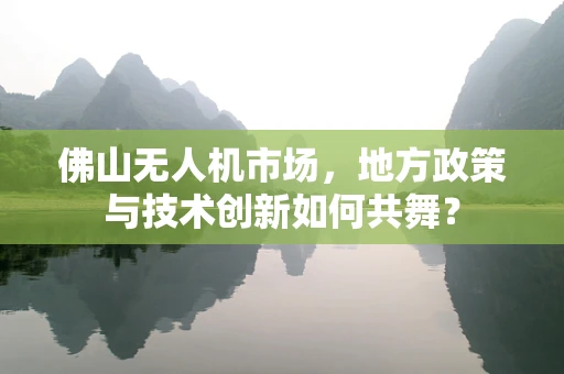 佛山无人机市场，地方政策与技术创新如何共舞？