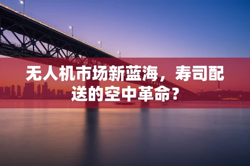 无人机市场新蓝海，寿司配送的空中革命？