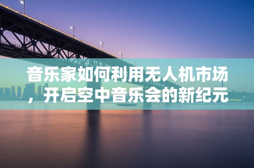 音乐家如何利用无人机市场，开启空中音乐会的新纪元？