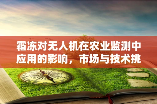 霜冻对无人机在农业监测中应用的影响，市场与技术挑战何在？