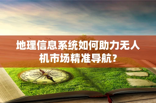 地理信息系统如何助力无人机市场精准导航？