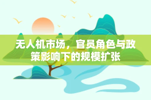 无人机市场，官员角色与政策影响下的规模扩张