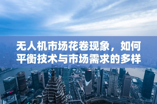 无人机市场花卷现象，如何平衡技术与市场需求的多样性？