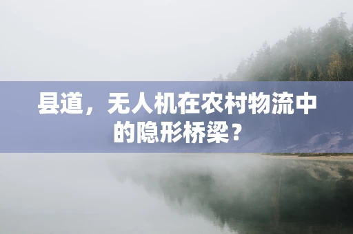 县道，无人机在农村物流中的隐形桥梁？