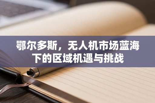 鄂尔多斯，无人机市场蓝海下的区域机遇与挑战