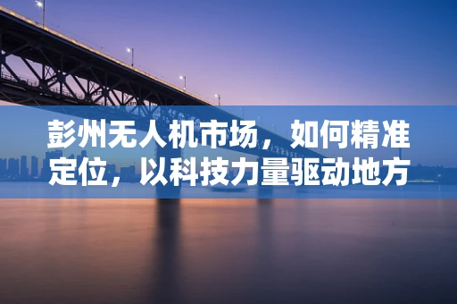 彭州无人机市场，如何精准定位，以科技力量驱动地方经济发展？