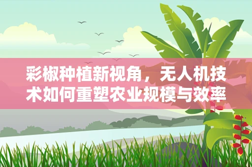 彩椒种植新视角，无人机技术如何重塑农业规模与效率？