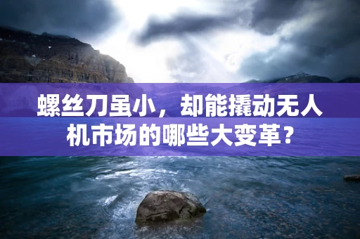 螺丝刀虽小，却能撬动无人机市场的哪些大变革？