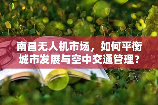 南昌无人机市场，如何平衡城市发展与空中交通管理？