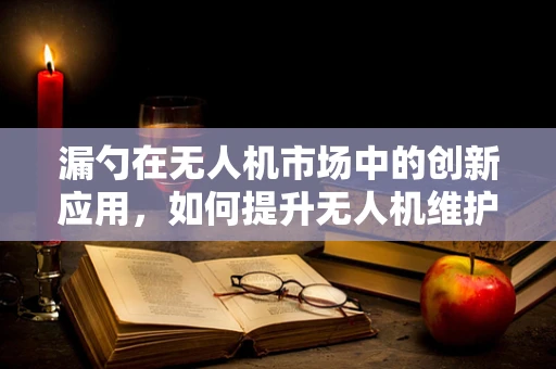 漏勺在无人机市场中的创新应用，如何提升无人机维护效率？