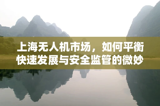 上海无人机市场，如何平衡快速发展与安全监管的微妙平衡？