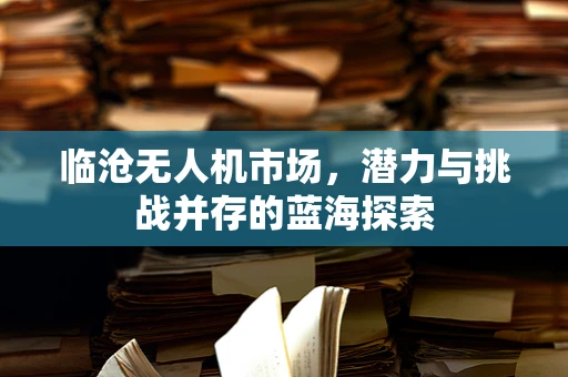 临沧无人机市场，潜力与挑战并存的蓝海探索