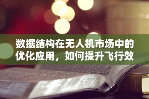 数据结构在无人机市场中的优化应用，如何提升飞行效率与数据处理的协同性？