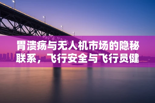 胃溃疡与无人机市场的隐秘联系，飞行安全与飞行员健康如何共舞？