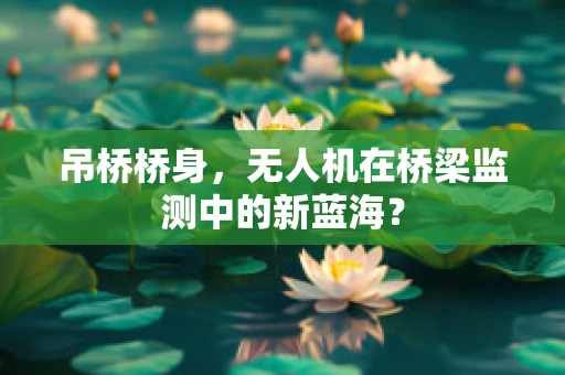 吊桥桥身，无人机在桥梁监测中的新蓝海？