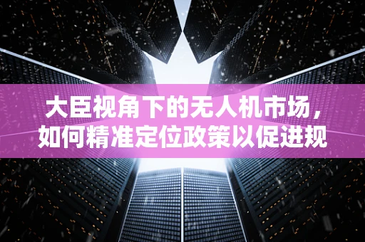 大臣视角下的无人机市场，如何精准定位政策以促进规模增长？