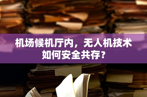 机场候机厅内，无人机技术如何安全共存？