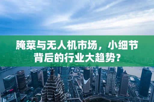 腌菜与无人机市场，小细节背后的行业大趋势？