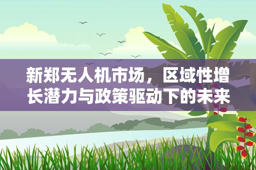 新郑无人机市场，区域性增长潜力与政策驱动下的未来趋势？