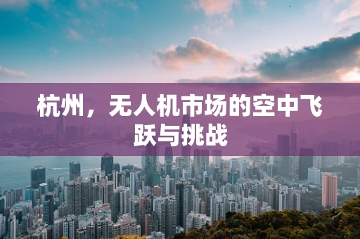 杭州，无人机市场的空中飞跃与挑战