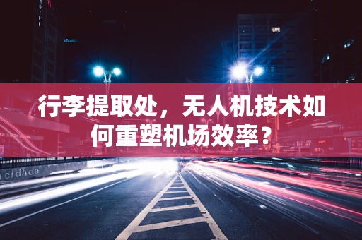 行李提取处，无人机技术如何重塑机场效率？