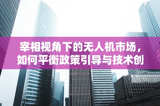 宰相视角下的无人机市场，如何平衡政策引导与技术创新以促进行业健康发展？