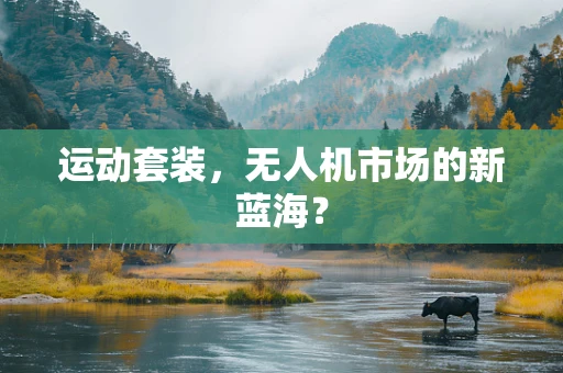 运动套装，无人机市场的新蓝海？