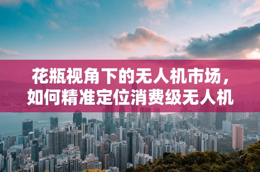 花瓶视角下的无人机市场，如何精准定位消费级无人机市场？