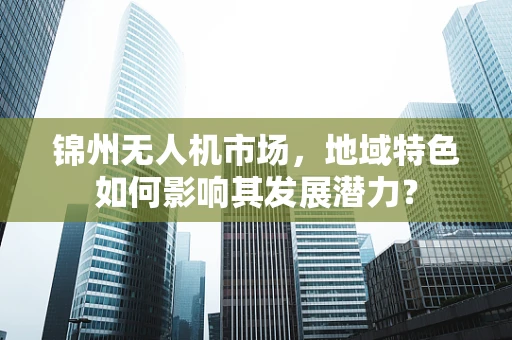 锦州无人机市场，地域特色如何影响其发展潜力？