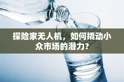 探险家无人机，如何撬动小众市场的潜力？