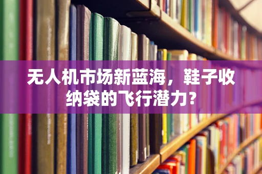 无人机市场新蓝海，鞋子收纳袋的飞行潜力？