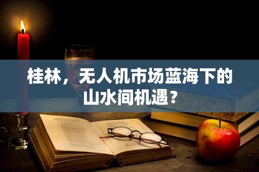 桂林，无人机市场蓝海下的山水间机遇？