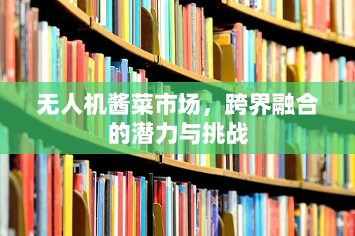 无人机酱菜市场，跨界融合的潜力与挑战