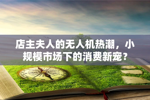 店主夫人的无人机热潮，小规模市场下的消费新宠？