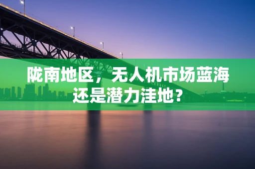 陇南地区，无人机市场蓝海还是潜力洼地？