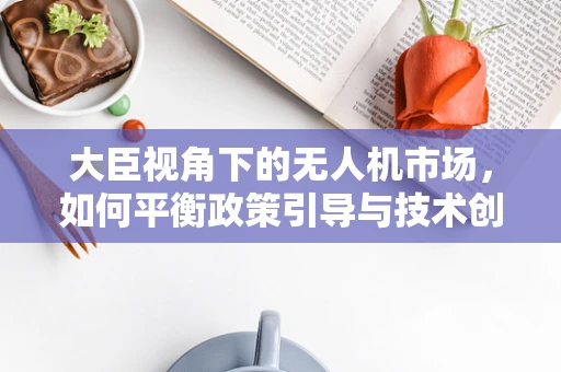 大臣视角下的无人机市场，如何平衡政策引导与技术创新，以促进规模增长？