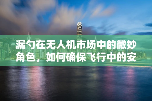 漏勺在无人机市场中的微妙角色，如何确保飞行中的安全与效率？