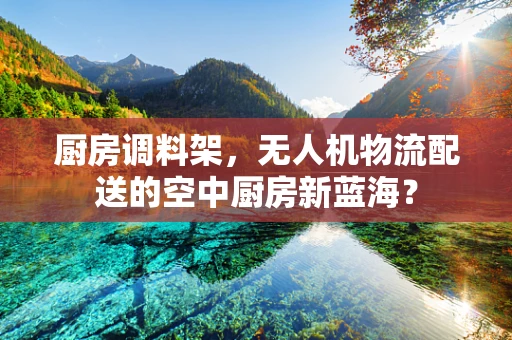 厨房调料架，无人机物流配送的空中厨房新蓝海？