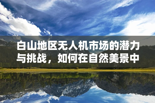 白山地区无人机市场的潜力与挑战，如何在自然美景中平衡发展？