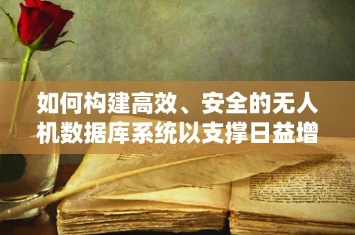 如何构建高效、安全的无人机数据库系统以支撑日益增长的市场需求？